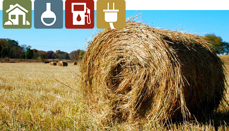 rolled bales in field