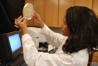 Woman analyzing sample from Biomass Fractionation