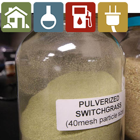 Pulverized switchgrass sample in the lab