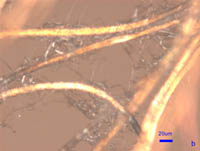 Magnified view of materials