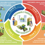 Figure illustrating creation of sustainable products from plant feedstocks for new NSF planning grant