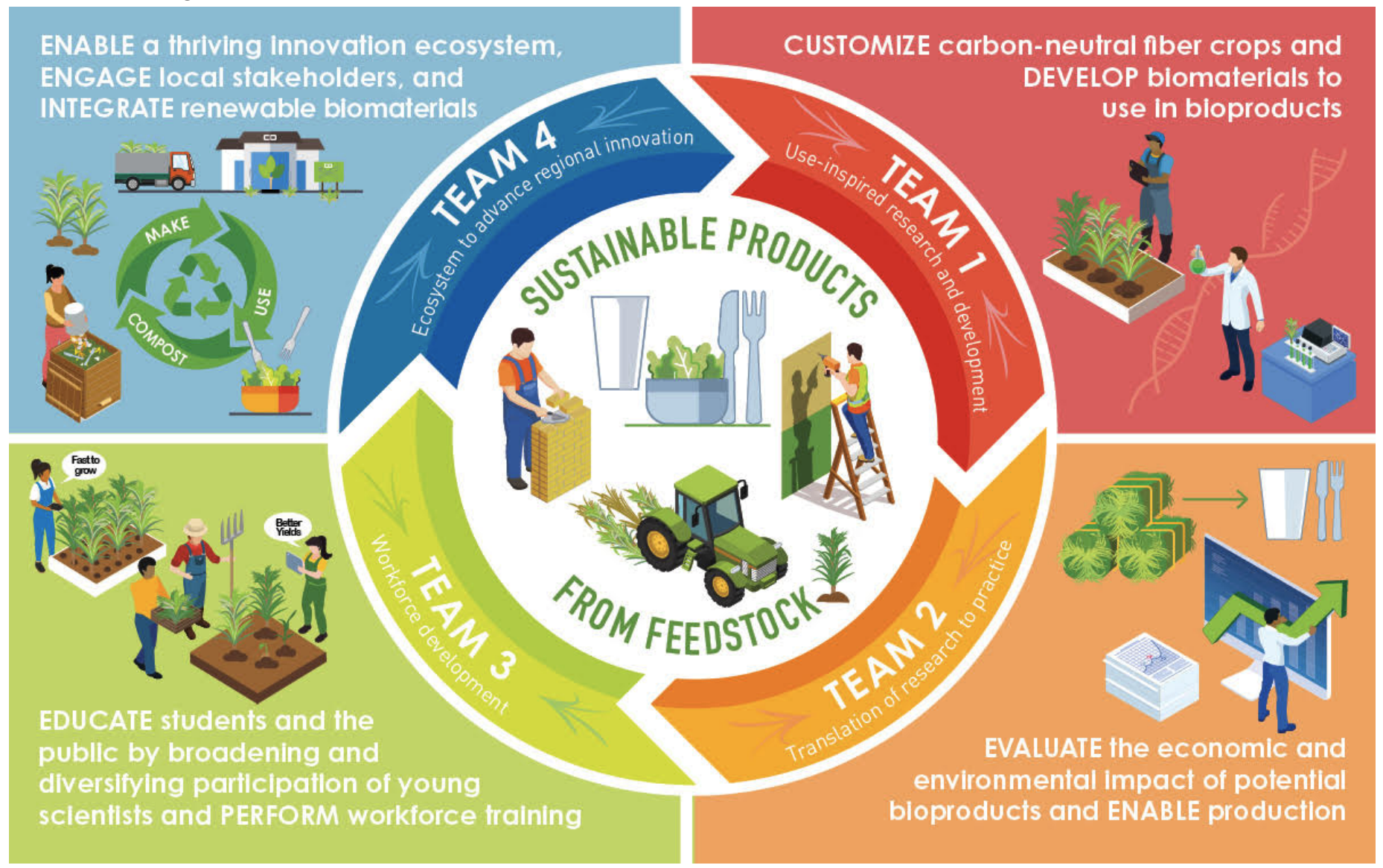 Figure illustrating creation of sustainable products from plant feedstocks for new NSF planning grant