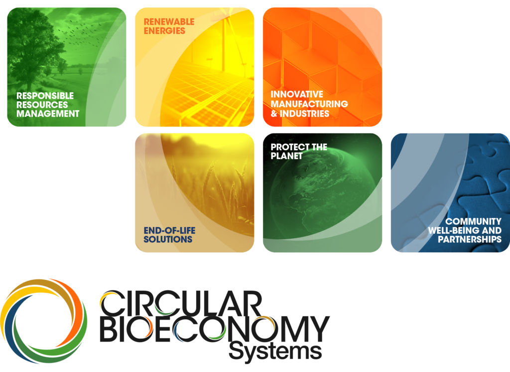 figure depicting different aspects of circular bioeconomy systems