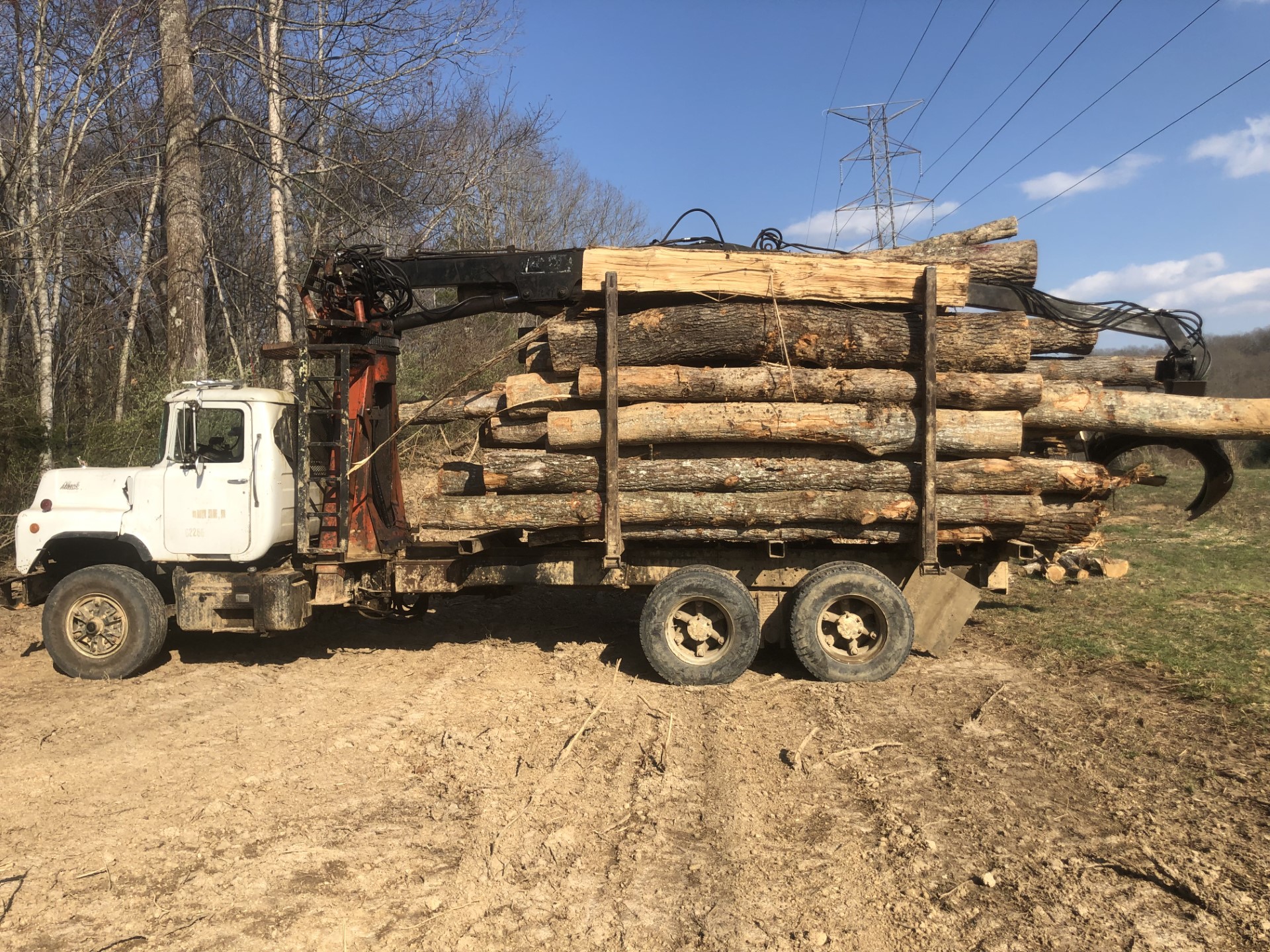UT Firewood Bank Center For Renewable Carbon