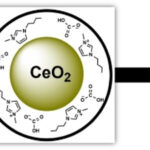 graphic abstract describing carbon capture experiment