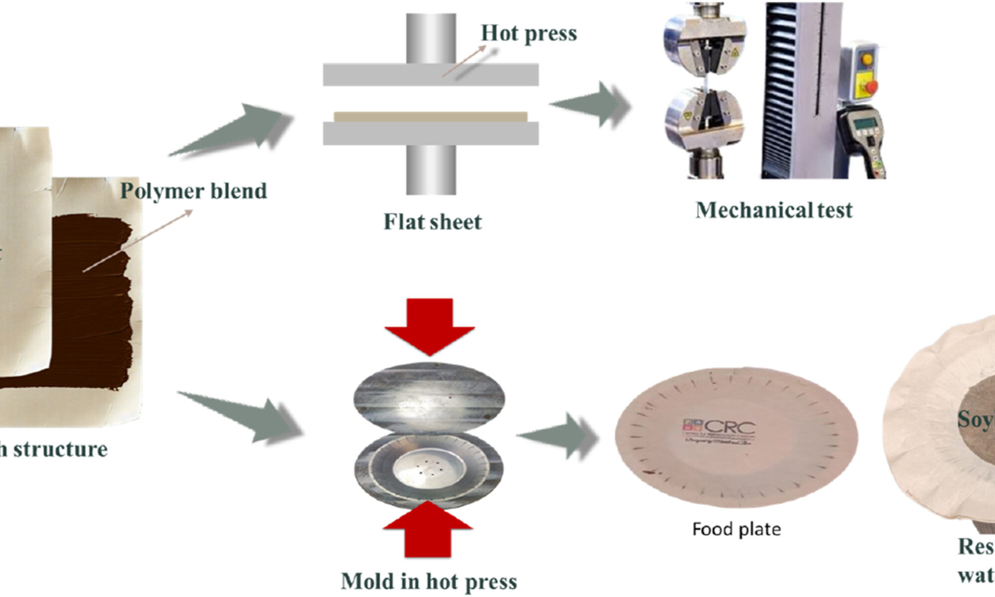 diagram showing production of layered paper for water and oil resistance