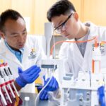 Mi Li, associate professor in the Center for Renewable Carbon and the School of Natural Resources, left, and Jisoo Jeon, post-doctoral research associate, work in the lab to create special materials called Cello-MOFs, which are a combination of nanocellulose and metal-organic frameworks.
